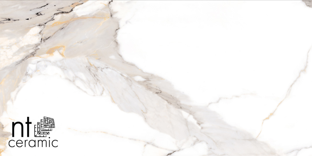 Керамогранит NT Ceramic NTT9120M Calacatta Light Grey mat 60x120