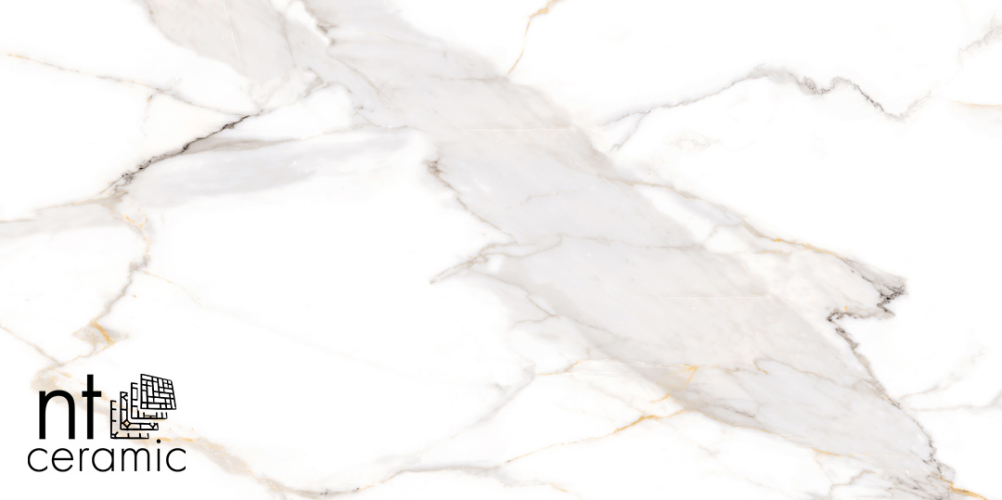 Керамогранит NT Ceramic NTT9120M Calacatta Light Grey mat 60x120