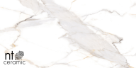 Керамогранит NT Ceramic NTT9120M Calacatta Light Grey mat 60x120