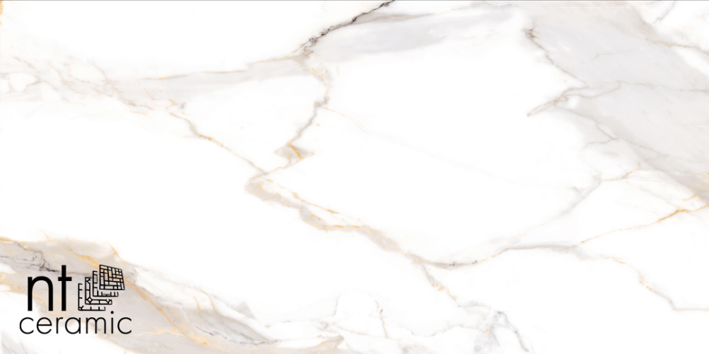 Керамогранит NT Ceramic NTT9120M Calacatta Light Grey mat 60x120
