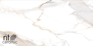 Керамогранит NT Ceramic NTT9120M Calacatta Light Grey mat 60x120