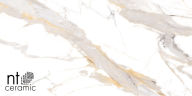 Керамогранит NT Ceramic NTT9120M Calacatta Light Grey mat 60x120