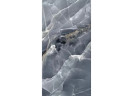 Керамогранит Grespania 80LK94P Alaska Negro Pulido 60x120