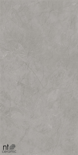Керамогранит NT Ceramic NTT99614L Granite Obelisk Grey 60x120