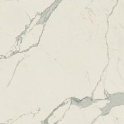 Керамогранит Atlas Concorde Russia 610015000608 Empire Statuario Lapp 80x80