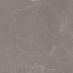 Керамогранит Ceradim х9999301498 Stone Micado Grey Серый Полированный 60х120