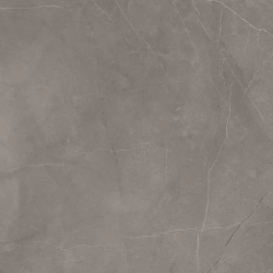 Керамогранит Ceradim х9999301498 Stone Micado Grey Серый Полированный 60х120