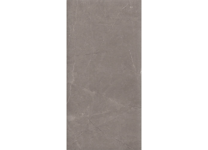 Керамогранит Ceradim х9999301498 Stone Micado Grey Серый Полированный 60х120