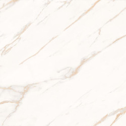 Керамогранит Laparet SG625420R Astro Ivory светло-бежевый матовый 59,50x59,50