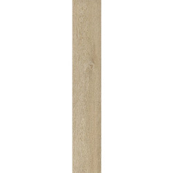 Керамогранит Ragno Marazzi R9TG Ossimori Avorio Extra Matt Rett 20x120