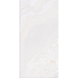 Керамогранит Fanal SLARGC435999 Planet White Metal Soft 60x120