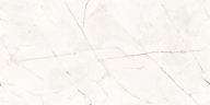 Керамогранит Duna RP-238567 Splendore Bianco Glossy 60x120