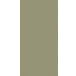 Керамогранит Staro Slim Elite Avocado 5мм Matt 60x120