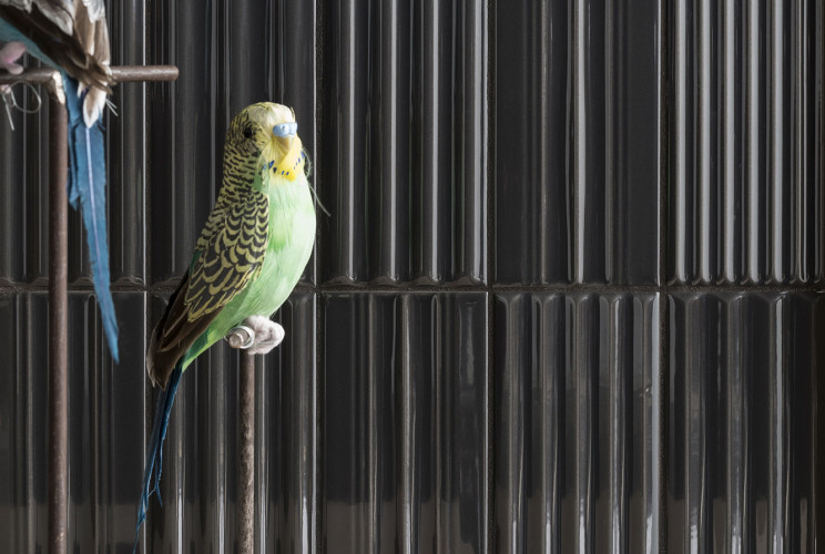 Плитка 41ZERO42 4100324 WigWag Black 7,5x15