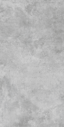 Керамогранит Primavera TP612M011 Такао светло-серый матовый 60x120