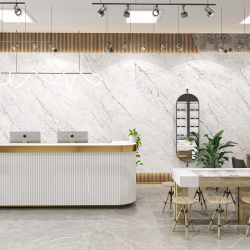 Керамогранит NT Ceramic NTT3602C Carrara Elite 120x280