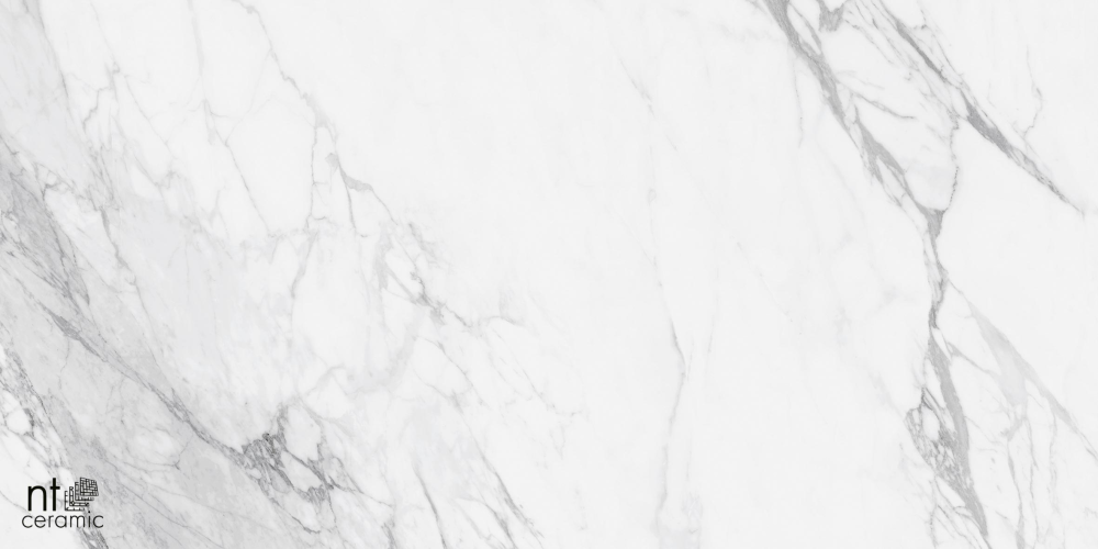 Керамогранит NT Ceramic NTT99527С Artic statuario Carving 60x120