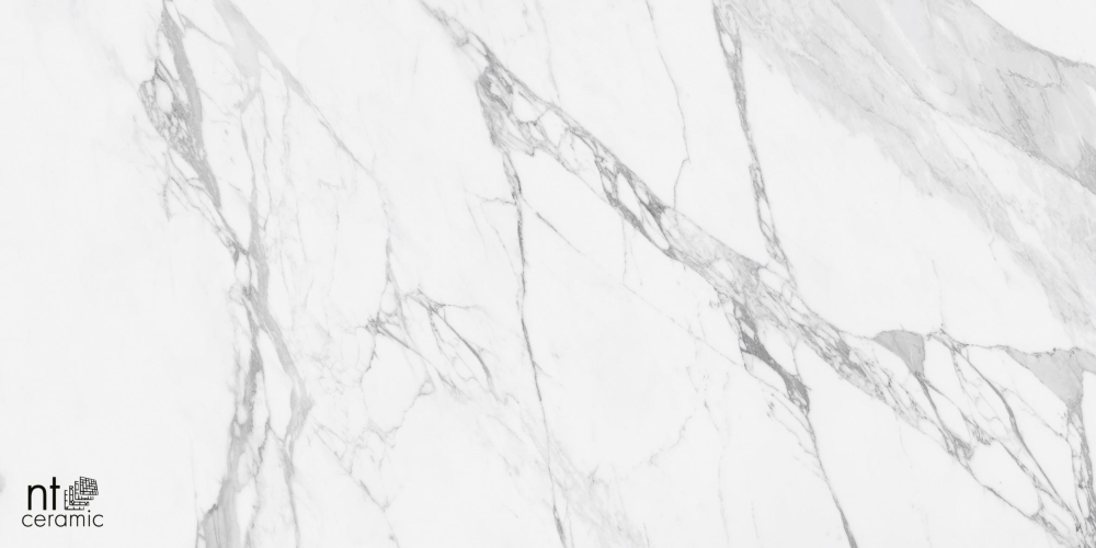 Керамогранит NT Ceramic NTT99527С Artic statuario Carving 60x120