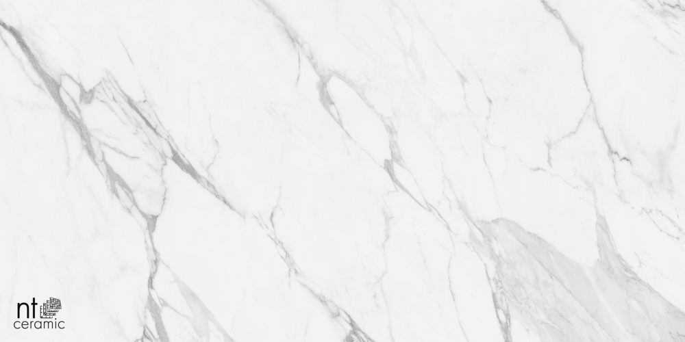 Керамогранит NT Ceramic NTT99527С Artic statuario Carving 60x120