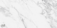 Керамогранит NT Ceramic NTT99527С Artic statuario Carving 60x120
