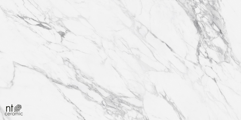 Керамогранит NT Ceramic NTT99527С Artic statuario Carving 60x120