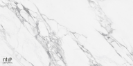 Керамогранит NT Ceramic NTT99527С Artic statuario Carving 60x120