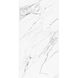 Керамогранит NT Ceramic NTT99527С Artic statuario Carving 60x120