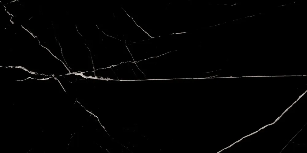Керамогранит Duna RP-238571 Nero Marquina Black Panter 60x120