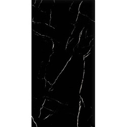 Керамогранит Duna RP-238571 Nero Marquina Black Panter 60x120