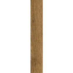 Керамогранит Ragno Marazzi R9TJ Ossimori Miele Extra Matt Rett 20x120