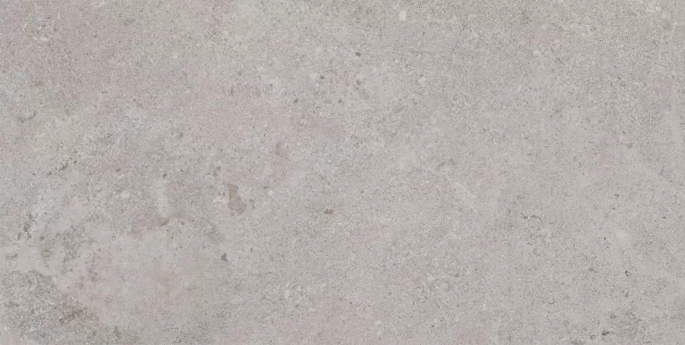 Керамогранитa Pamesa 017.869.0344.00714 Erding Ash Decorstone 60x120