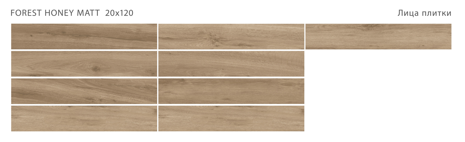 Керамогранит StaroWood Forest Honey Matt 20x120