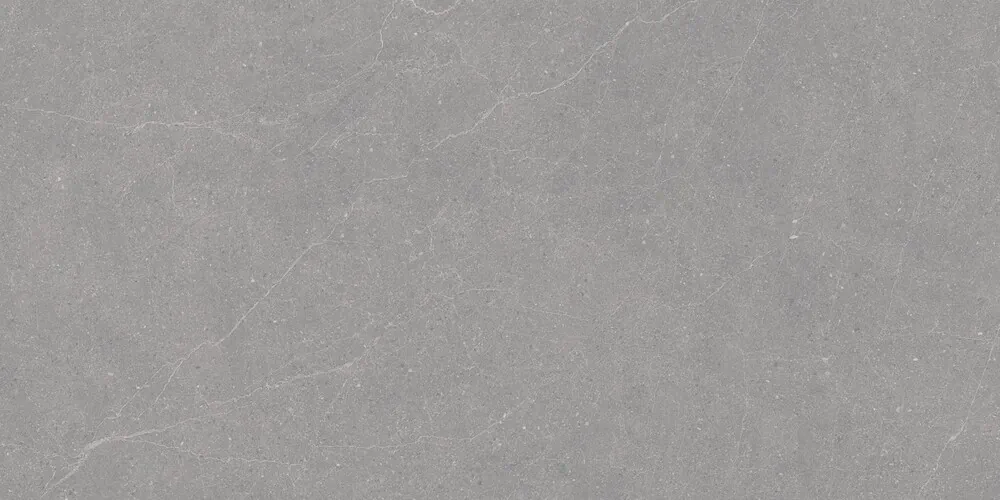 Керамогранит Duna RP-238579 Elenta Grey Carving 60x120