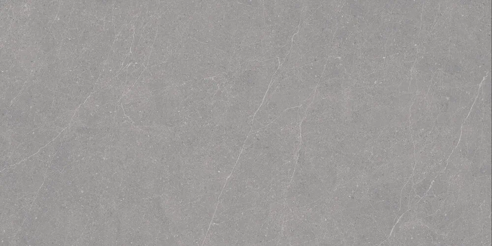 Керамогранит Duna RP-238579 Elenta Grey Carving 60x120