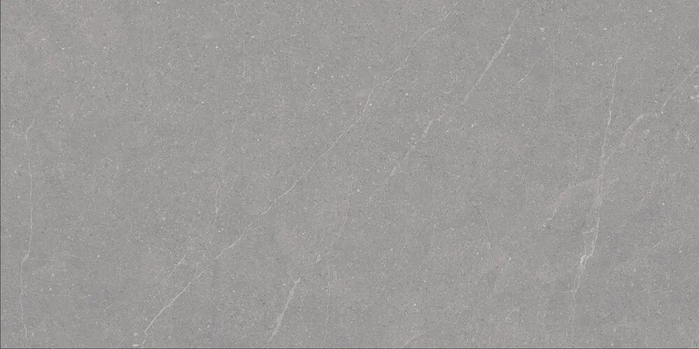 Керамогранит Duna RP-238579 Elenta Grey Carving 60x120