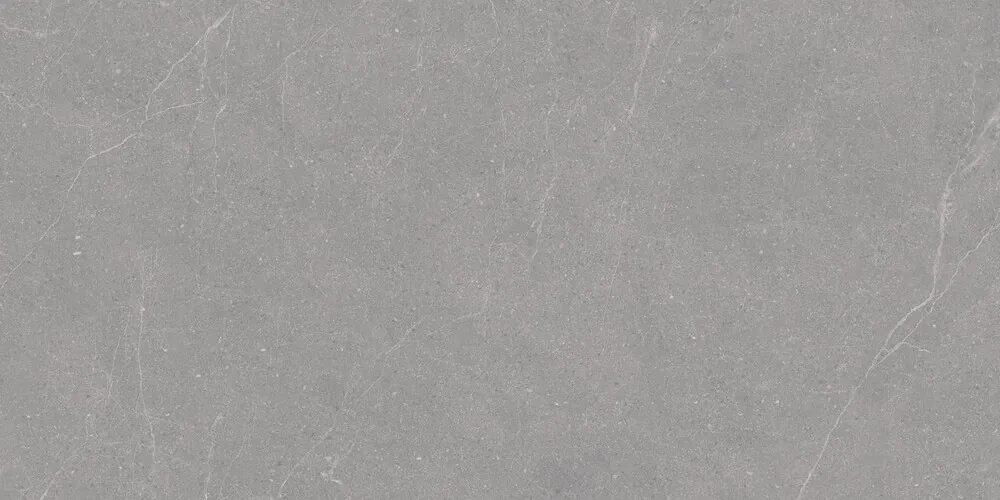 Керамогранит Duna RP-238579 Elenta Grey Carving 60x120