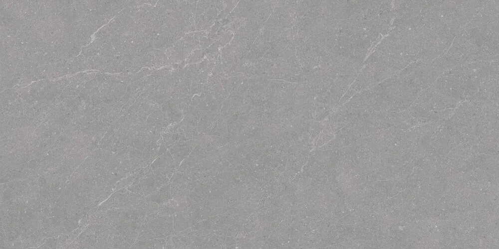 Керамогранит Duna RP-238579 Elenta Grey Carving 60x120