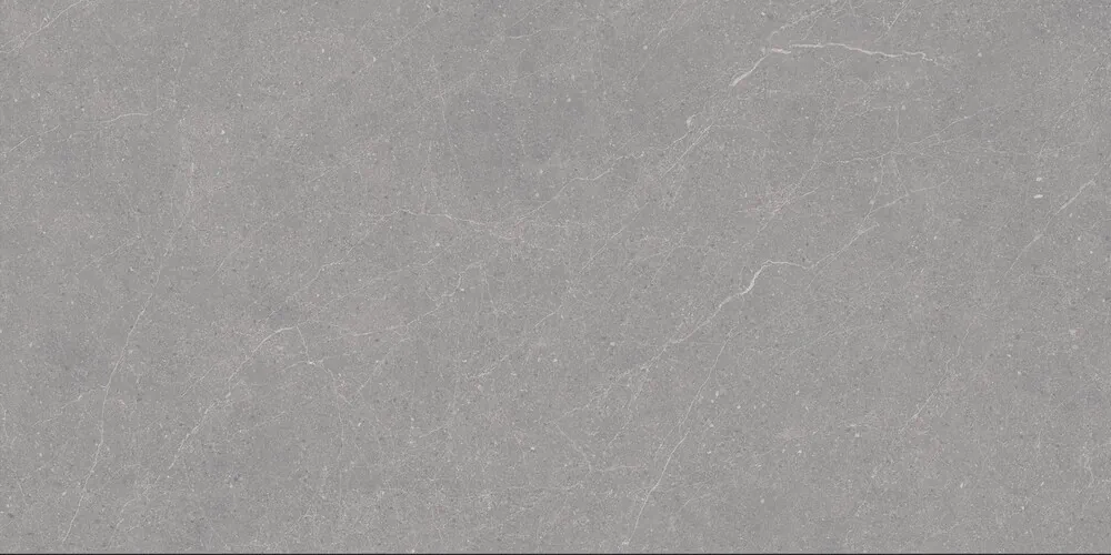 Керамогранит Duna RP-238579 Elenta Grey Carving 60x120