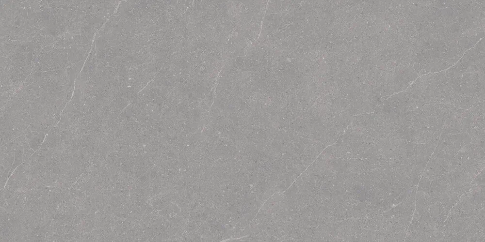 Керамогранит Duna RP-238579 Elenta Grey Carving 60x120