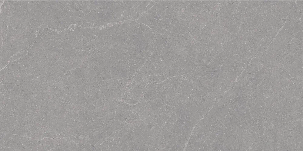 Керамогранит Duna RP-238579 Elenta Grey Carving 60x120