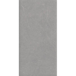 Керамогранит Duna RP-238579 Elenta Grey Carving 60x120