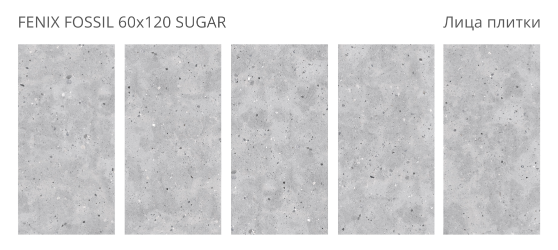 Керамогранит Staro Fenix Fossil Sugar 60x120