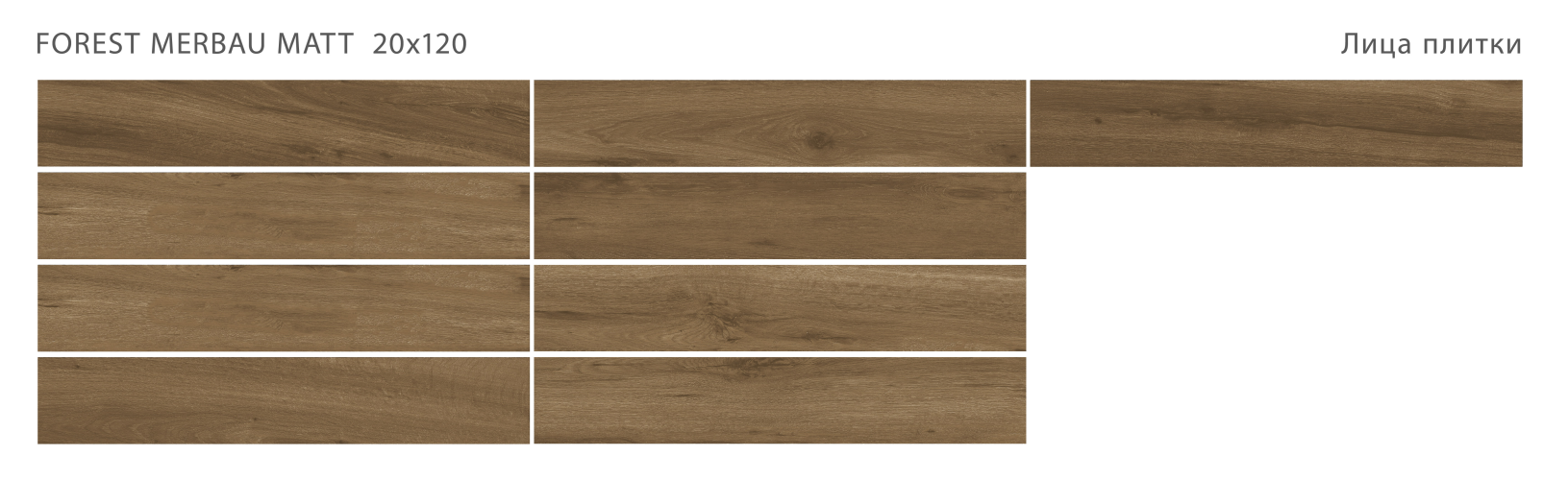 Керамогранит StaroWood Forest Merbau Matt 20x120