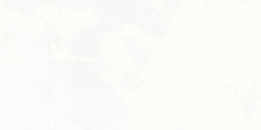 Керамогранит Ceradim х9999304208 Onyx Hope Светло-серый Полированный 60х120