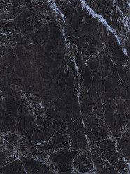 Керамогранит Primavera Black Emperador GR205 60x120