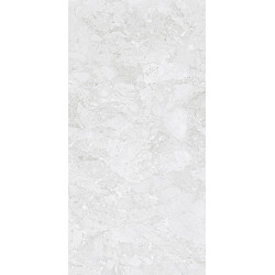 Керамогранит NT Ceramic NTTVL99836M Rockstar Orleans Matt 60x120