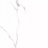 Керамогранит Prime Ceramics Carrara 60x60