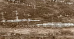 Керамогранит Ragno Marazzi R56D Woodmania Musk R10 20x120