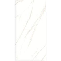 Керамогранит Duna RP-238582 Pushkar White Matt 60x120