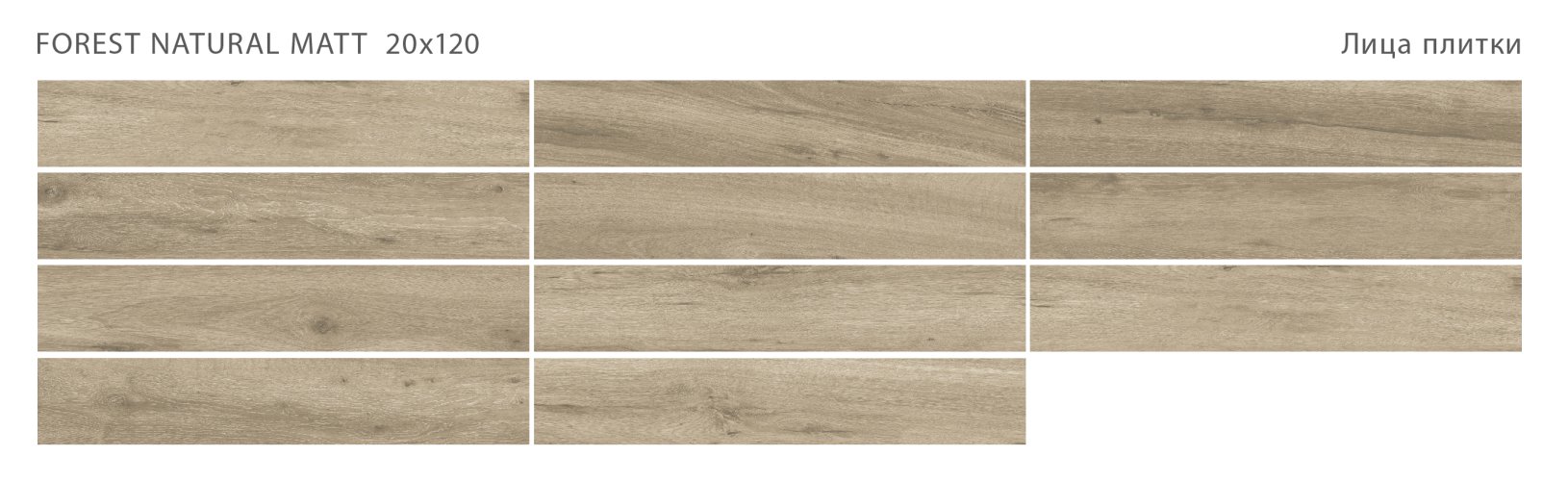 Керамогранит StaroWood Forest Natural Matt 20x120
